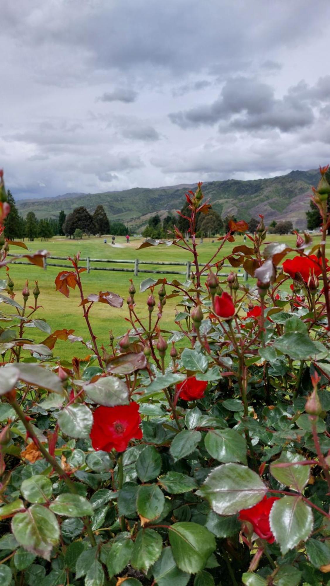 Lake Dunstan Motel Cromwell Bagian luar foto